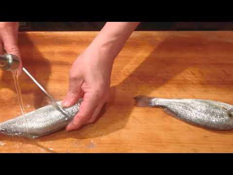 イシモチ グチ の焼き皮造り 大和の 和の料理 焼き皮造り Youtube