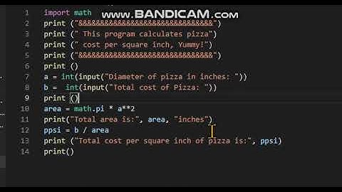 Python Coding: Cost per square inch of pizza