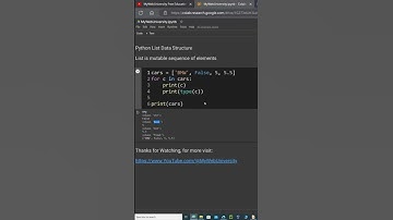 Python Nested List and how to determine the different data types of each elements inside a list