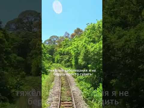 Психосоматика. Как нерешённые конфликты влияют на здоровье