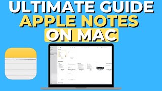 Mastering Apple Notes on MacBook: Tips and Tricks 2024 🍎