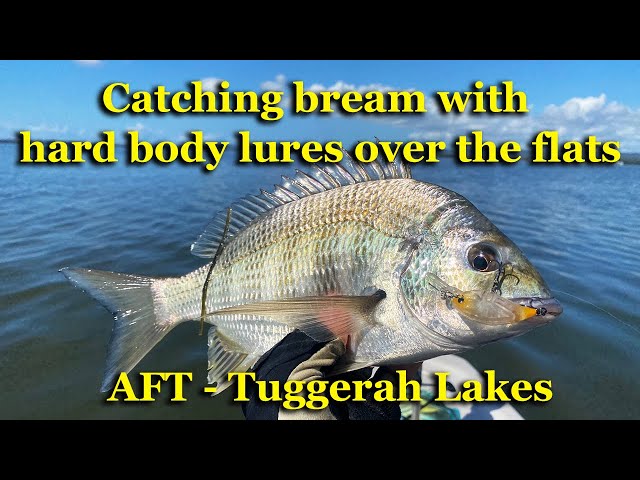 Catching bream with Hard Body Lures over the flats 