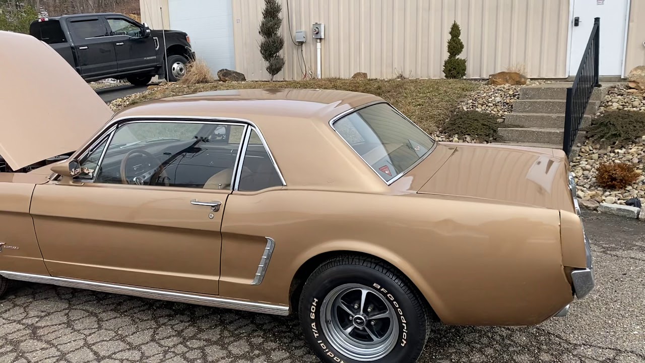 ◆KHAKIPOINT◆ MINI MUSTANG beige P00000QF maxresdefault.jpg