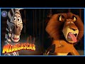 Alex doesnt like Marty&#39;s food | DreamWorks Madagascar