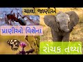 Animal facts in gujarati  gujarati fact  amazing facts  eliteart03   gujarati knowledge
