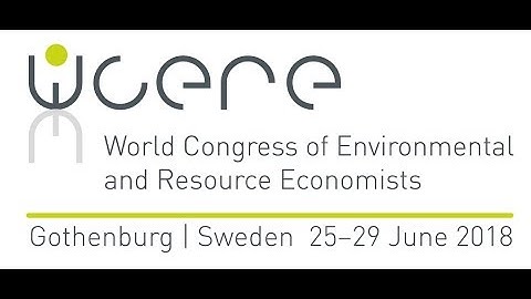 REACH and Beyond PART 2 - Effective Policy Instruments to Regulate Hazardous Chemicals