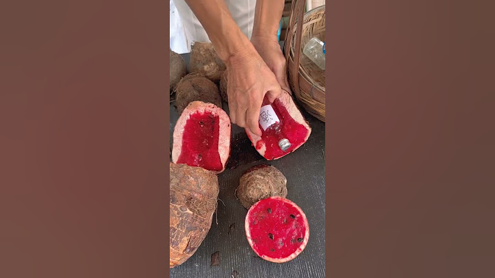 老头把酒藏在西瓜里想带出去，怎料被母老虎发现！全部没收！#家庭挑战类 #funny #李叮长 #家庭挑战类 #李叮长 #comedy #搞笑 #movie #viral #amazingfacts