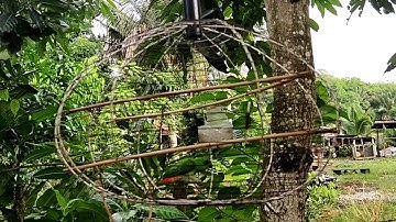 suara pikat burung serindit power full