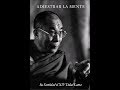 Adiestra TU Mente | Dalai Lama AUDIOLIBRO [ESPAÑOL] [COMPLETO]