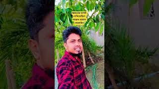 ক্ষমতার দাপট দেখিয়েছিল নমরুদ হামান ফেরাউন#IslamicHistory#Nimrod#Pharaoh#Haman#LessonsFromHistory