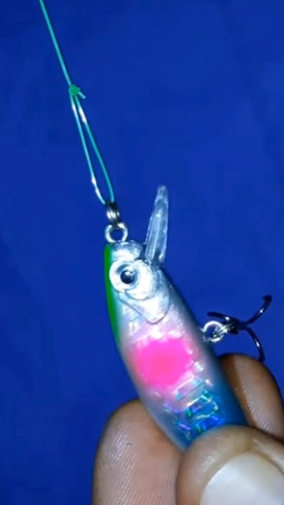 Cara Mengikat Lure Minnow
