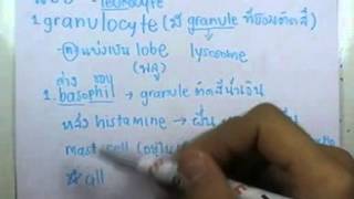 ormBio ver2 : Circulatory System Episode 04