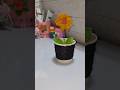 Doy clay flower pot with pista shell