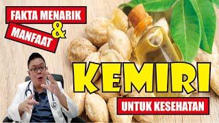 Fakta Menarik Serta Manfaat Kemiri Untuk Kesehatan