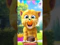talking ginger gameplay funny cat video talkingtomversion talking ginger gameplay funny cat video talkingtomversion
