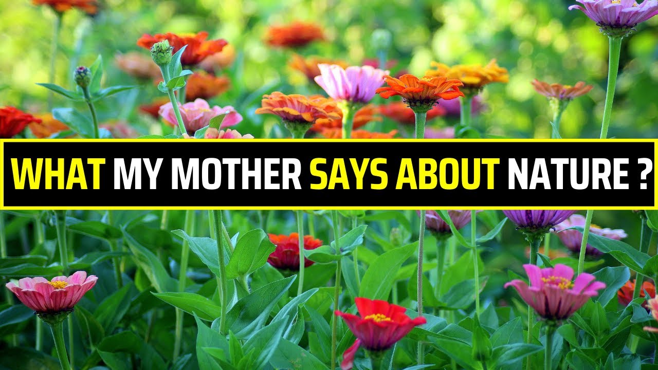 Islamabad Witnesses Surge in Pulmonary Diseases ,A Yogin Mother's Perspective about its Cure