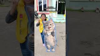 ikot yg agik viral
