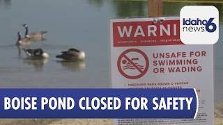 E. Coli Contamination Makes Esther Simplot Pond One Unsafe for Swimming