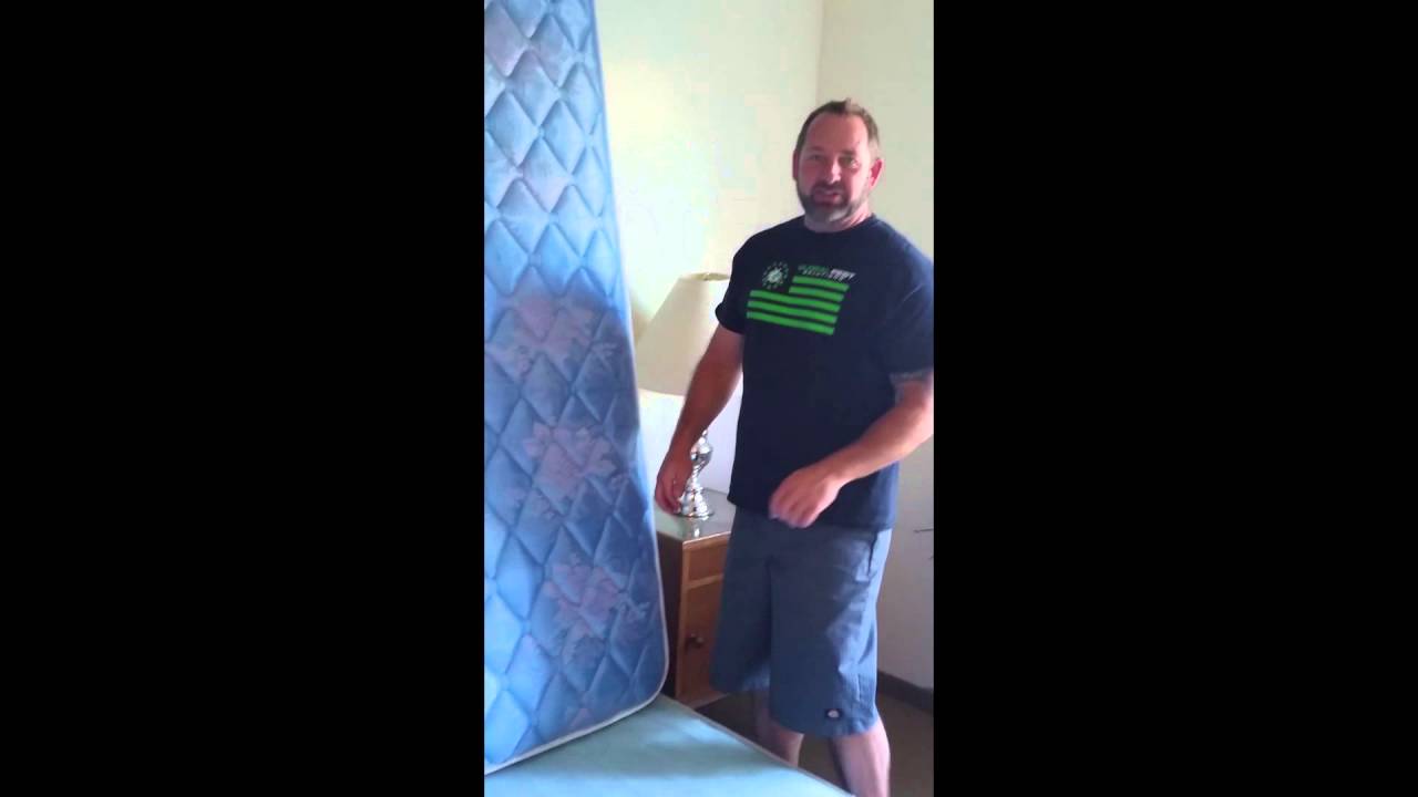 Can Bed Bugs Live In Air Mattresses?