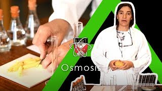 Osmosis - Biology A-level Required Practical