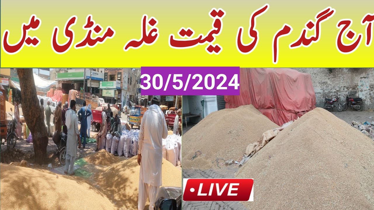 Wheat price today update| Galla Mandi Wheat price| Gandam Rate today ...