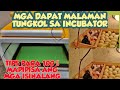 TAMANG PARAAN PARA SUCCESSFUL ANG PAGPAPAPISA SA ATING INCUBATOR? | TIPS SA PAG IINCUBATE NG ITLOG