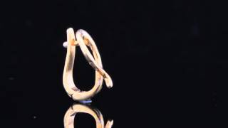 151788543384 FSL040 10