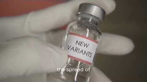 The Power of Information in Science: How Data Unlocks the Secrets of the Universe