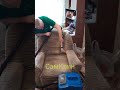 Выездная химчистка кресла