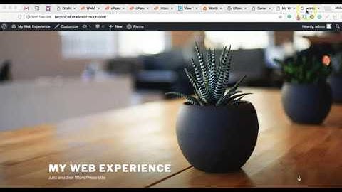 How to set site title and tagline in wordpress