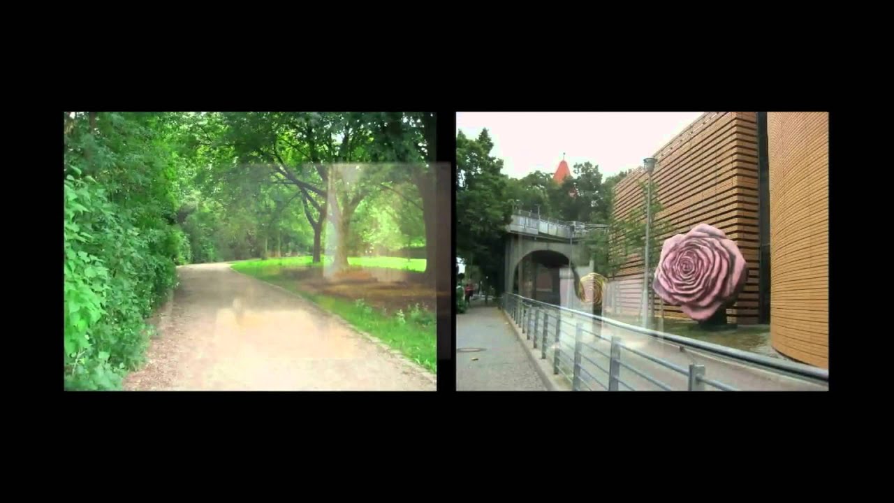 unacasacomoyovideo.mp4