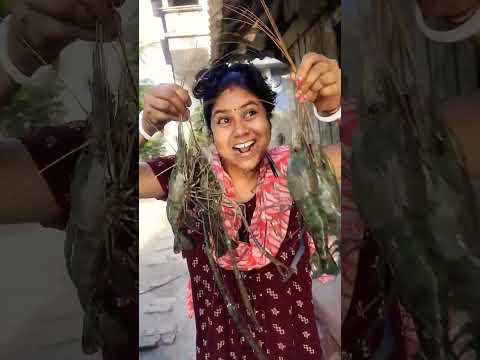 Tenge is the best! 😂 I miss him