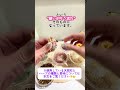 Witch’s Wish Jar｜願いを叶える魔女の小瓶【六宝天然石のスペルジャー】