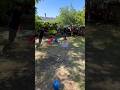 Daughter saves dad from snake #shorts