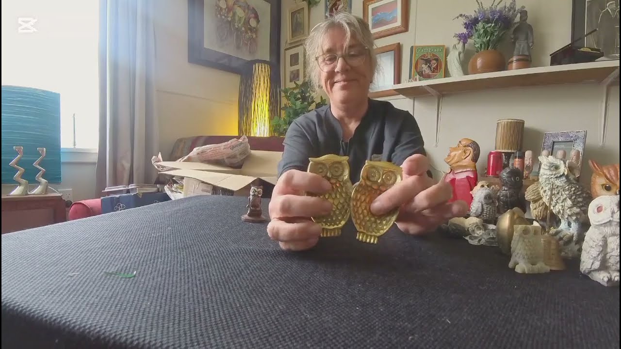 Owl & Turtle Figurines Everywhere 🦉🐢 | Collection Showcase