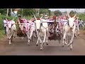 Yadawada kudubandi Bullock cart race | Parallax shot