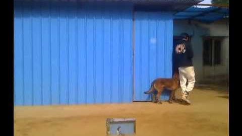 pre heeling and front command