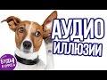 АУДИО ИЛЛЮЗИИ, слушать в наушниках 🔊 БУДЬ В КУРСЕ TV