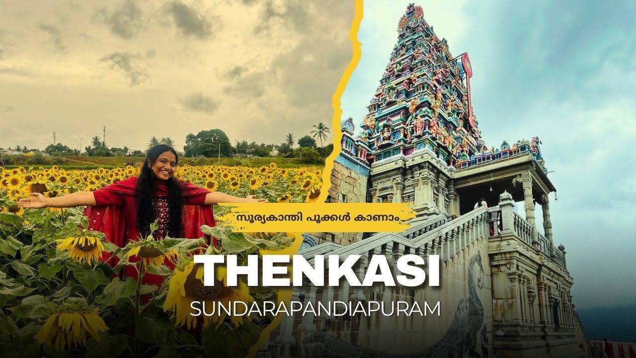 Sunflower Season is Here!! 🌻 Tenkasi Day Trip | Sundarapandiapuram Sunflower Garden & More | EV Trip