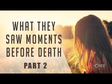 Family & Hospice Stories | Terminal Lucidity | NDE & End Of Life | Part 2