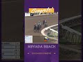 Nevada Beach - Goodwood Stakes GI