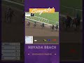 Nevada Beach - Goodwood Stakes GI