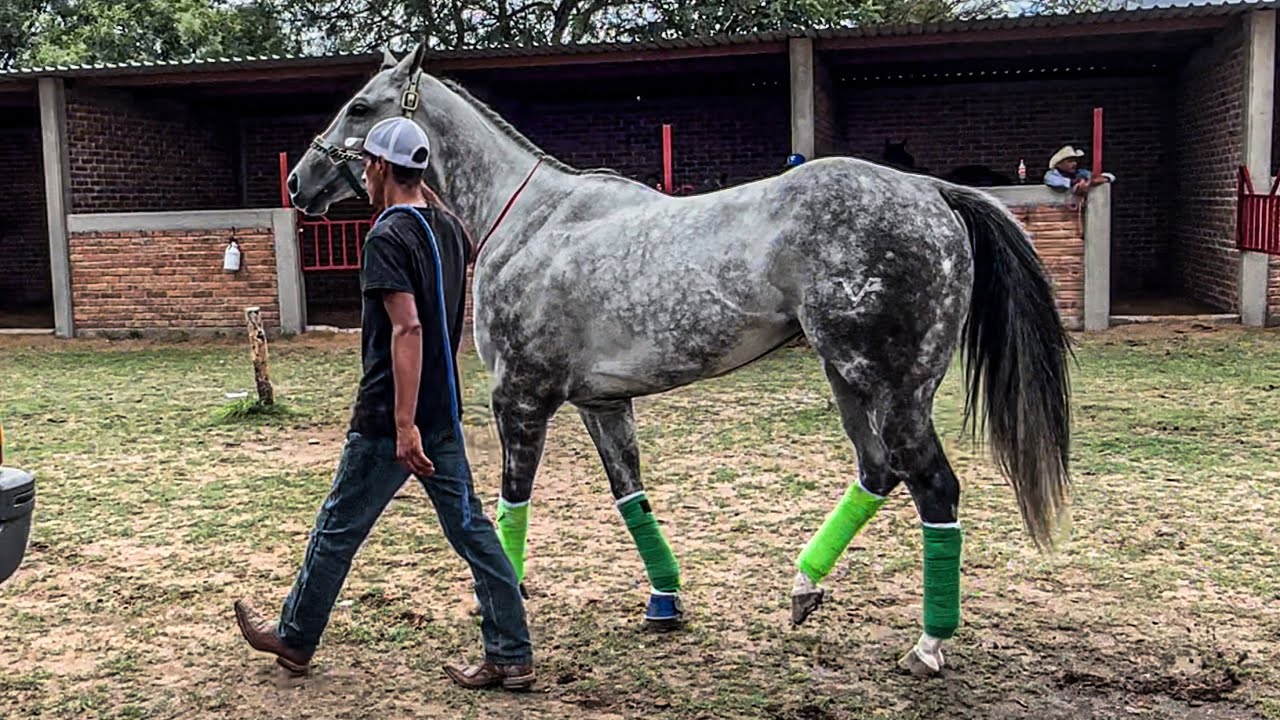 Súper Revancha | La Venadita Vs La Italiana, Carril La Tira Durango Mex.