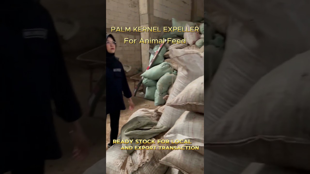 Rahasia peternak sukses: PKE! Tingkatkan produktivitas ternak anda 