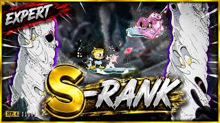 S-RANKING SALTBAKER IS INSANE