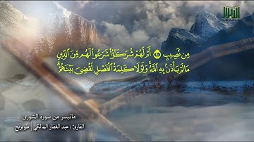 ما تيسَّرَ مِنْ سورةِ الشورى بصوت القارئ : عبد الغفار المالكي - طويريج #أهل_القرآن_الأبرار