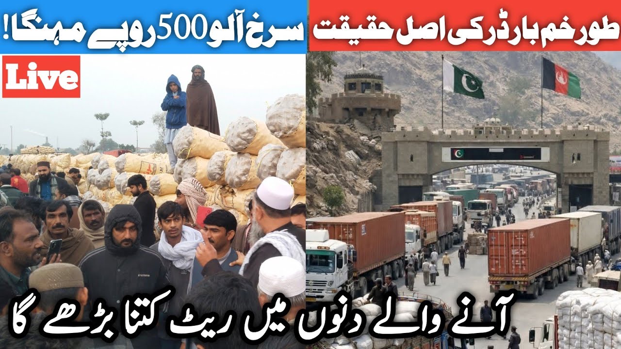 Potato Price Jumps by Rs500 in Pakpattan Sabzi Mandi | Pak-Turkham Border Reality | Mazhar Agri Info