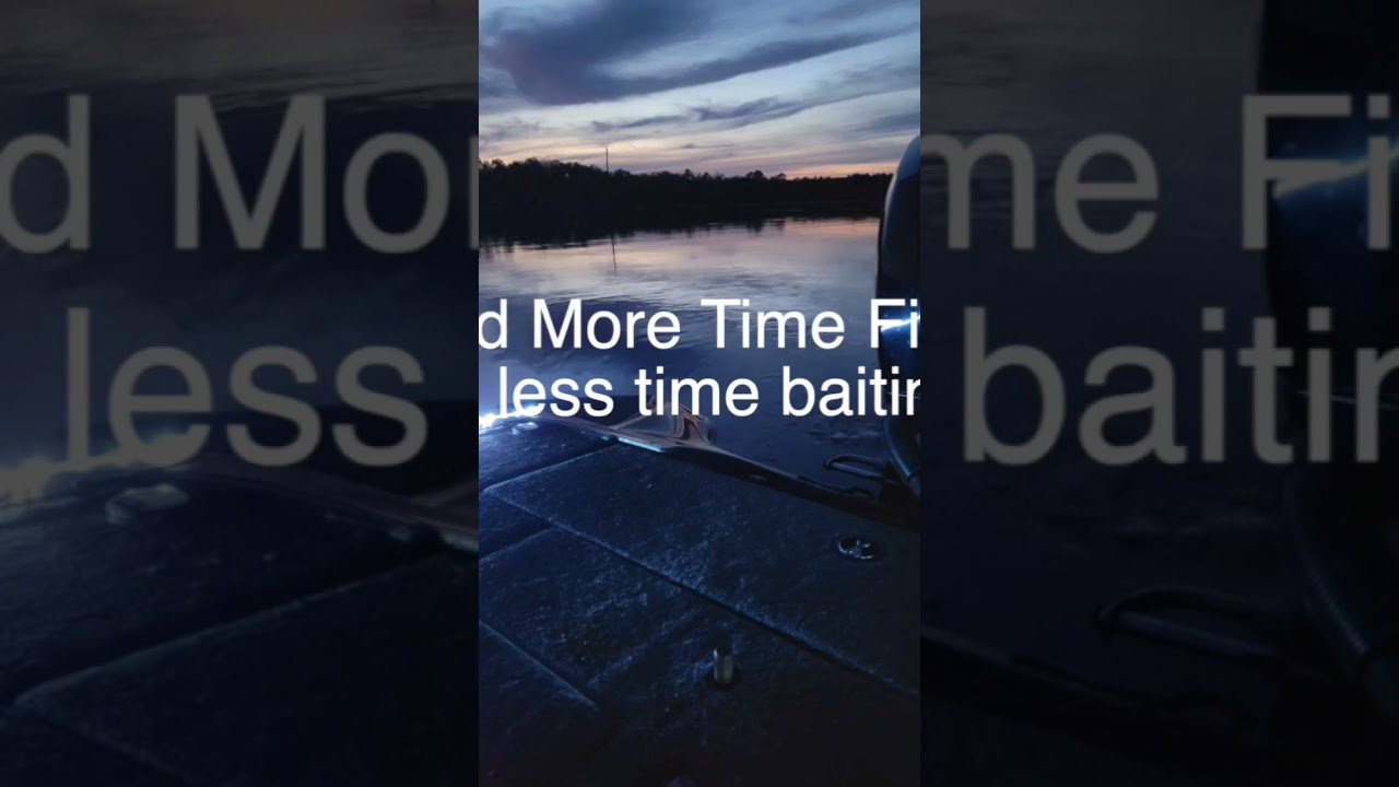 Quick Baiter: fishing tool that allows you to hook live bait Fast and Easy 