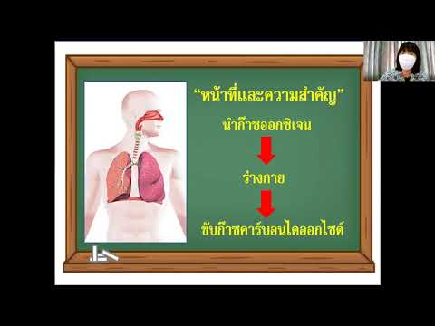 หน้าที่และความสำคัญของระบบหายใจ ป.6