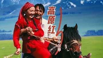 容中尔甲一首经典老歌《高原红》，来自雪域高原的天籁之音，百听不厌！